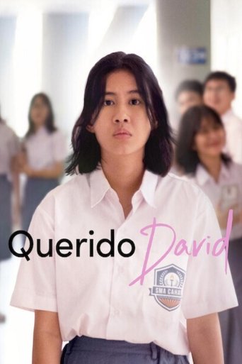 Capa de Querido David