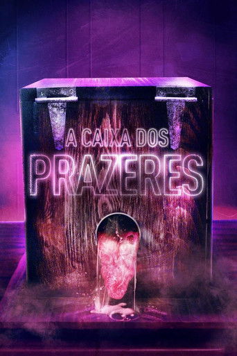 Capa de A Caixa dos Prazeres