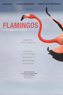 Capa de Flamingos: A Vida Depois do Meteorito