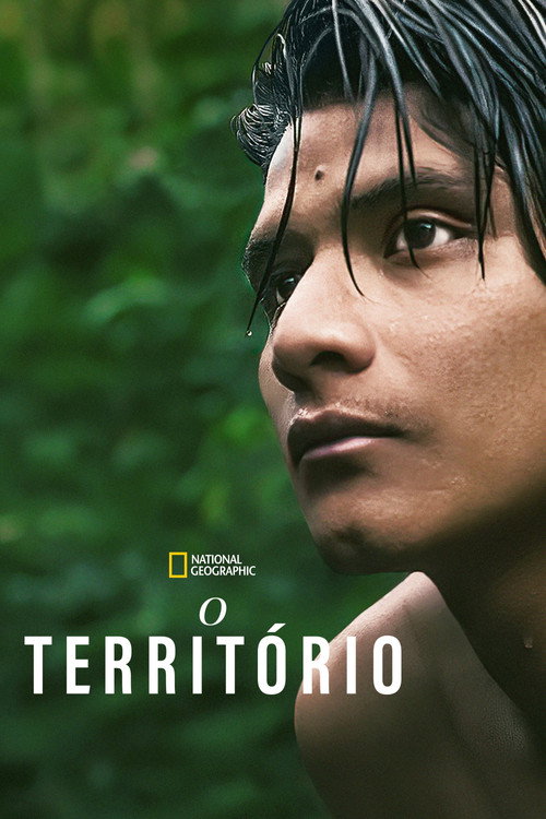 Capa de O Território