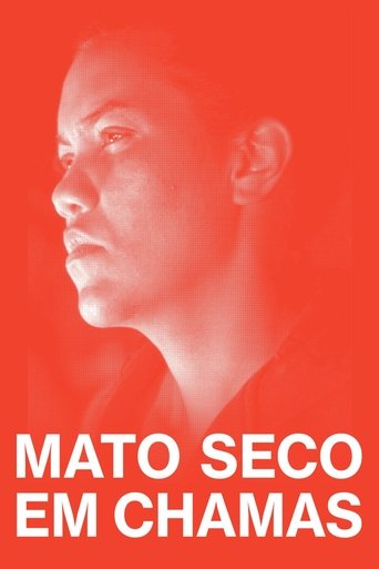 Capa de Mato Seco em Chamas