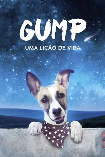 Capa de Gump: Uma Lição de Vida
