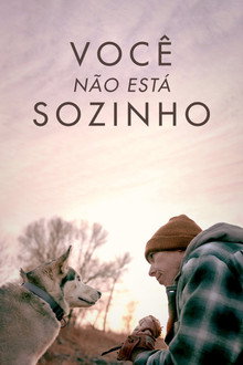 Capa de Você Não Está Sozinho