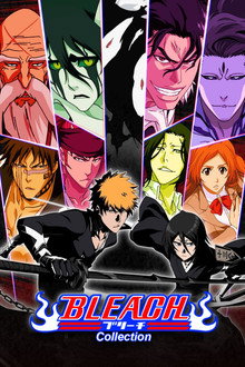 Capa de Bleach 1ª Temporada