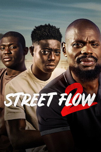 Capa de Street Flow 2