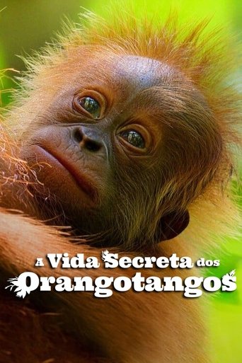 Capa de A Vida Secreta dos Orangotangos