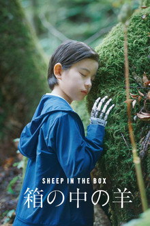 Capa de Sheep in the Box