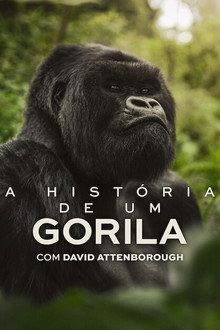 Capa de A História de Um Gorila com David Attenborough
