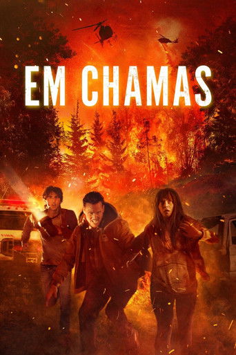 Capa de Em Chamas
