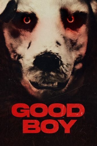 Capa de Good Boy