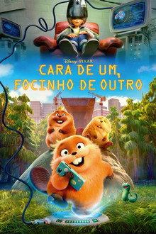 Capa de Cara de Um, Focinho de Outro