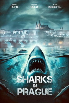 Capa de Sharks In Prague