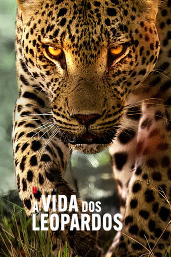 Capa de A Vida dos Leopardos