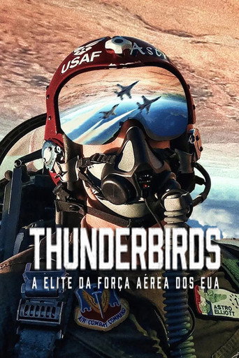 Capa de Thunderbirds: A Elite da Força Aérea dos EUA