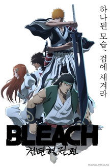 Capa de Bleach 2ª Temporada