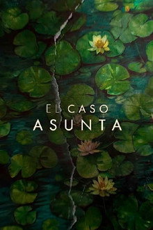 Capa de O Caso Asunta 1ª Temporada